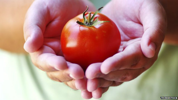 Estudo recomenda tomate para prevenir cncer de prstata